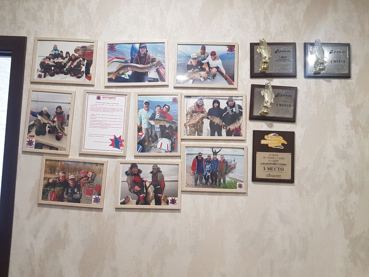 photo1686648499.jpeg photo1686648499.jpeg